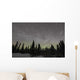 Star Trails Milky Way Wall Decal