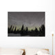 Star Trails Milky Way Wall Decal