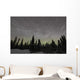 Star Trails Milky Way Wall Decal