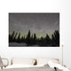 Star Trails Milky Way Wall Decal