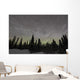 Star Trails Milky Way Wall Decal