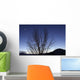 Moon and Venus Conjunction Wall Decal Design 3
