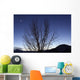 Moon and Venus Conjunction Wall Decal Design 3