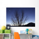 Moon and Venus Conjunction Wall Decal Design 3