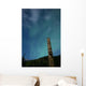 Aurora above Totem Pole Wall Decal