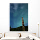 Aurora above Totem Pole Wall Decal