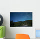 Aurora above Totem Poles Wall Decal