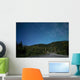 Aurora above Totem Poles Wall Decal