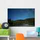 Aurora above Totem Poles Wall Decal