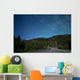 Aurora above Totem Poles Wall Decal