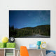 Aurora above Totem Poles Wall Decal