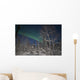 Green Aurora Prelude Lake Wall Decal
