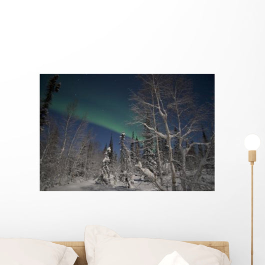 Green Aurora Prelude Lake Wall Decal