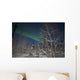 Green Aurora Prelude Lake Wall Decal