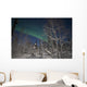 Green Aurora Prelude Lake Wall Decal