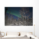 Green Aurora Prelude Lake Wall Decal