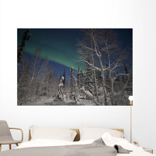 Green Aurora Prelude Lake Wall Decal