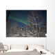 Green Aurora Prelude Lake Wall Decal