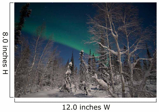 Green Aurora Prelude Lake Wall Decal