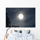 Solar Halo Wall Decal Design 2