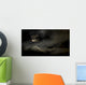 Harvest Moon through Clouds Wall Decal