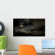 Harvest Moon through Clouds Wall Decal
