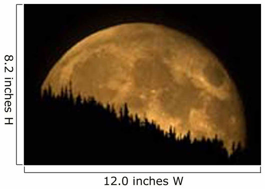 Moonrise Wall Decal Design 2