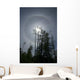 Solar Halo Wall Decal Design 1