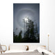 Solar Halo Wall Decal Design 1