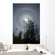 Solar Halo Wall Decal Design 1