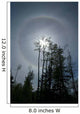Solar Halo Wall Decal Design 1