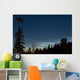 Noctilucent Coluds Wall Decal Design 3