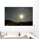 Harvest Moon Halo Lumby Wall Decal