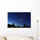 Star Trails Dusk Wall Decal Design 2
