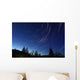 Star Trails Dusk Wall Decal Design 2