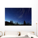 Star Trails Dusk Wall Decal Design 2