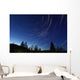 Star Trails Dusk Wall Decal Design 2