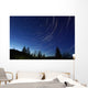 Star Trails Dusk Wall Decal Design 2