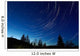 Star Trails Dusk Wall Decal Design 2