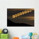 Full Moonrise Wall Decal