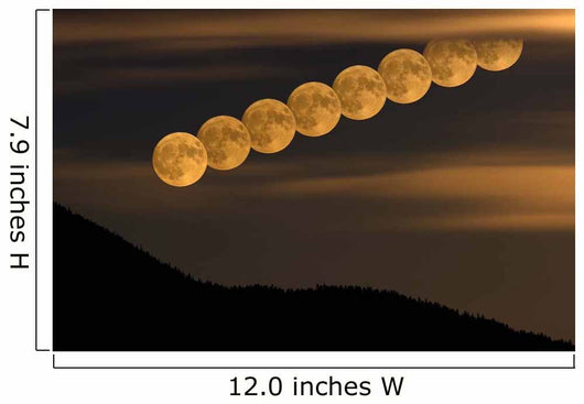 Full Moonrise Wall Decal