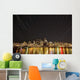 Star Trails above Downtown Wall Decal