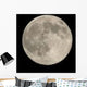 Full Moon Wall Decal Design 2