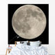 Full Moon Wall Decal Design 2