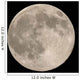 Full Moon Wall Decal Design 2