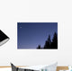 Moon Venus and Jupiter Wall Decal Design 2