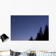 Moon Venus and Jupiter Wall Decal Design 2