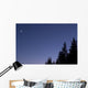 Moon Venus and Jupiter Wall Decal Design 2