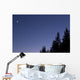 Moon Venus and Jupiter Wall Decal Design 2