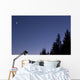 Moon Venus and Jupiter Wall Decal Design 2